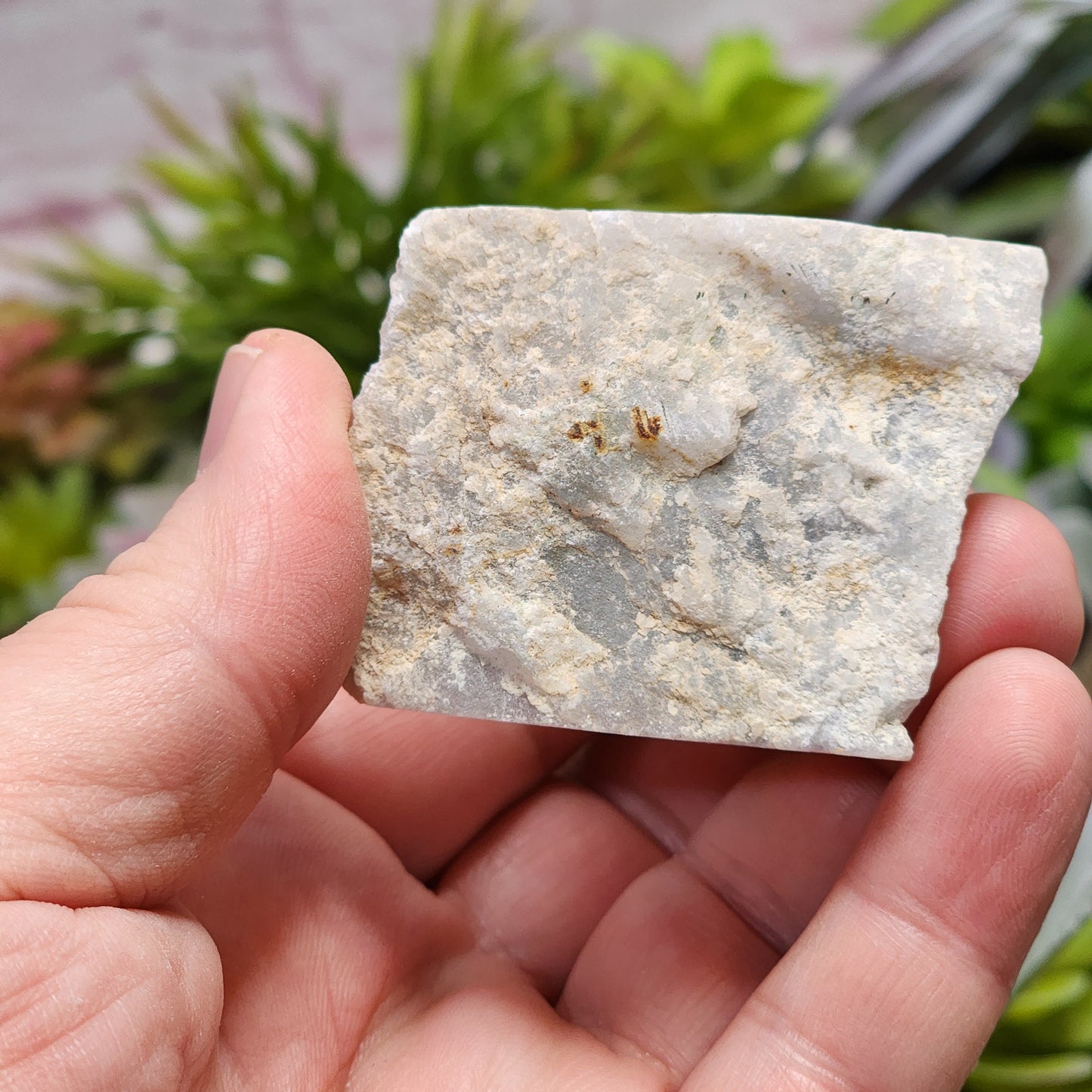 Guatemalan White Ice Jadeite Jade Rough Material | 2319