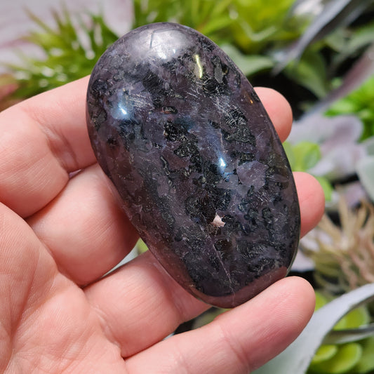Indigo Gabbro Palmstone | 2361