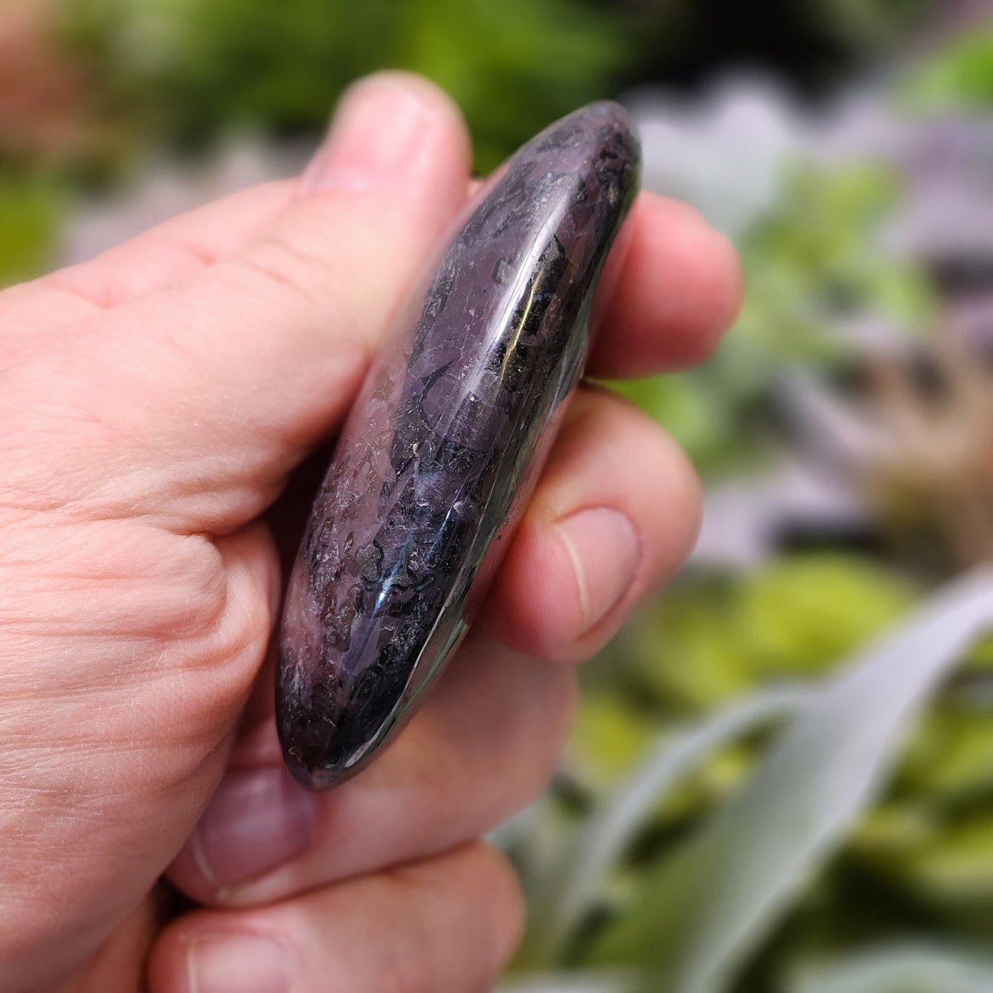 Indigo Gabbro Palmstone | 2361