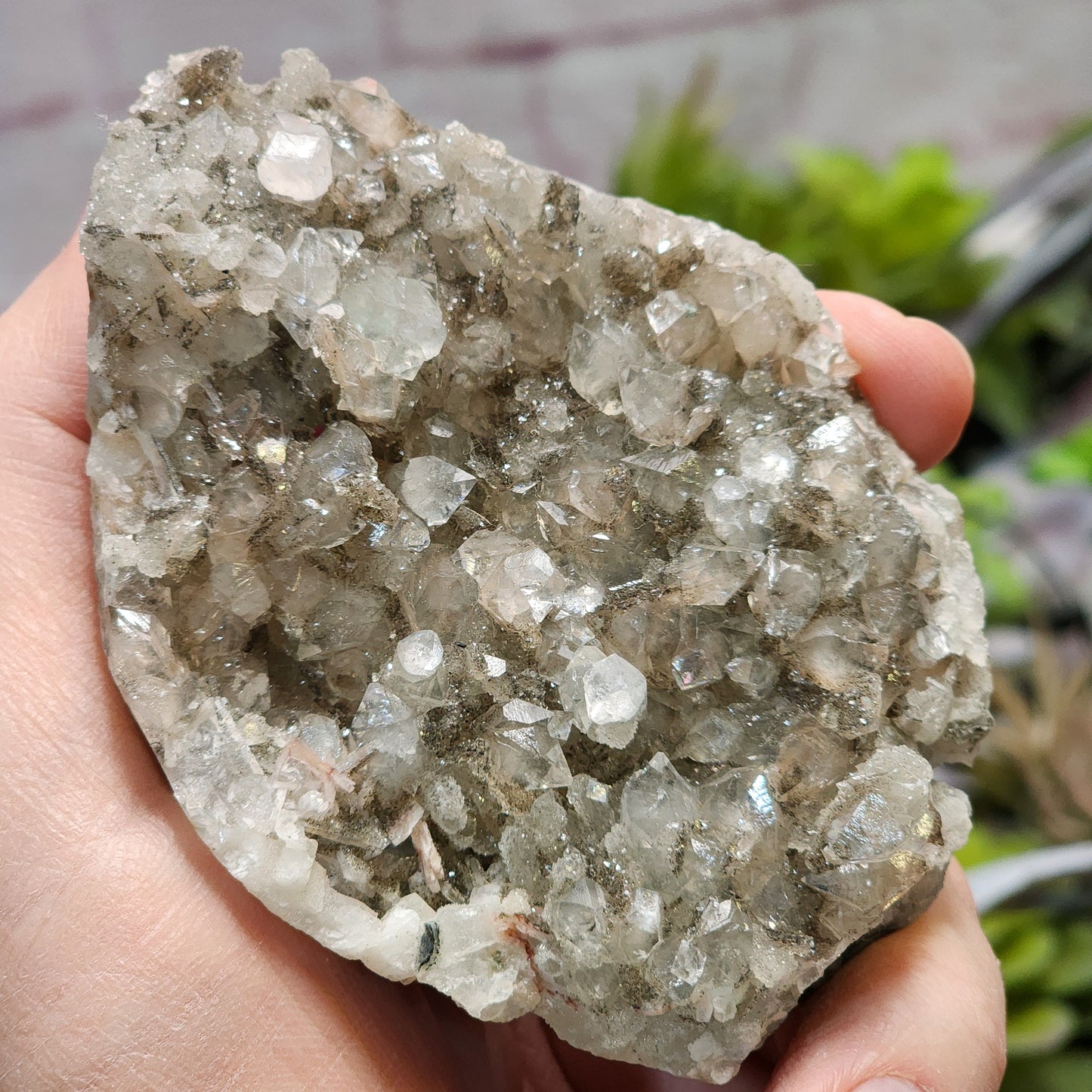 Apophyllite, Pyrite Raw Cluster | 1374