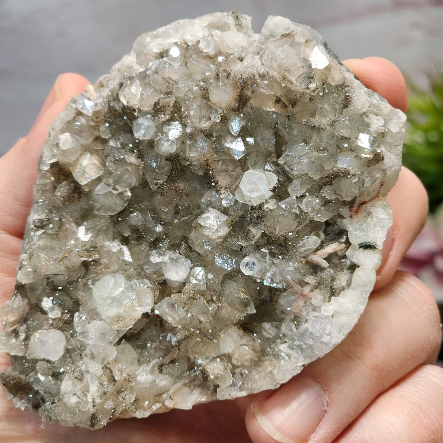 Apophyllite, Pyrite Raw Cluster | 1374