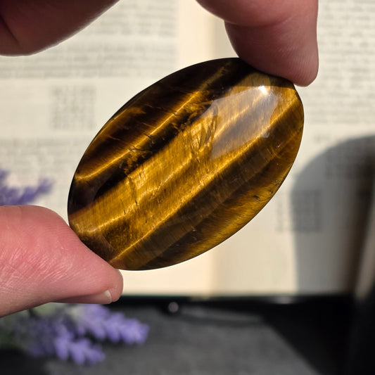 Tiger's Eye Palmstone | 1736