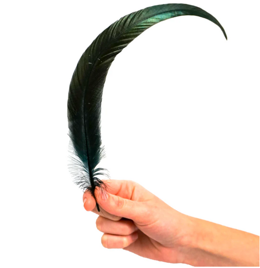Crow Feather | 3040