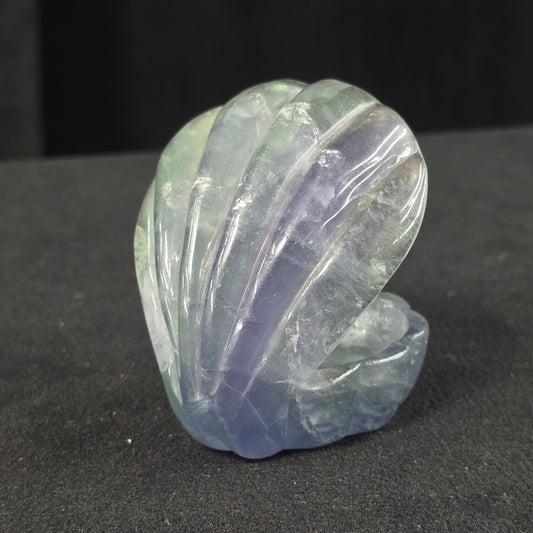 Rainbow Fluorite Clam Carving | 2261
