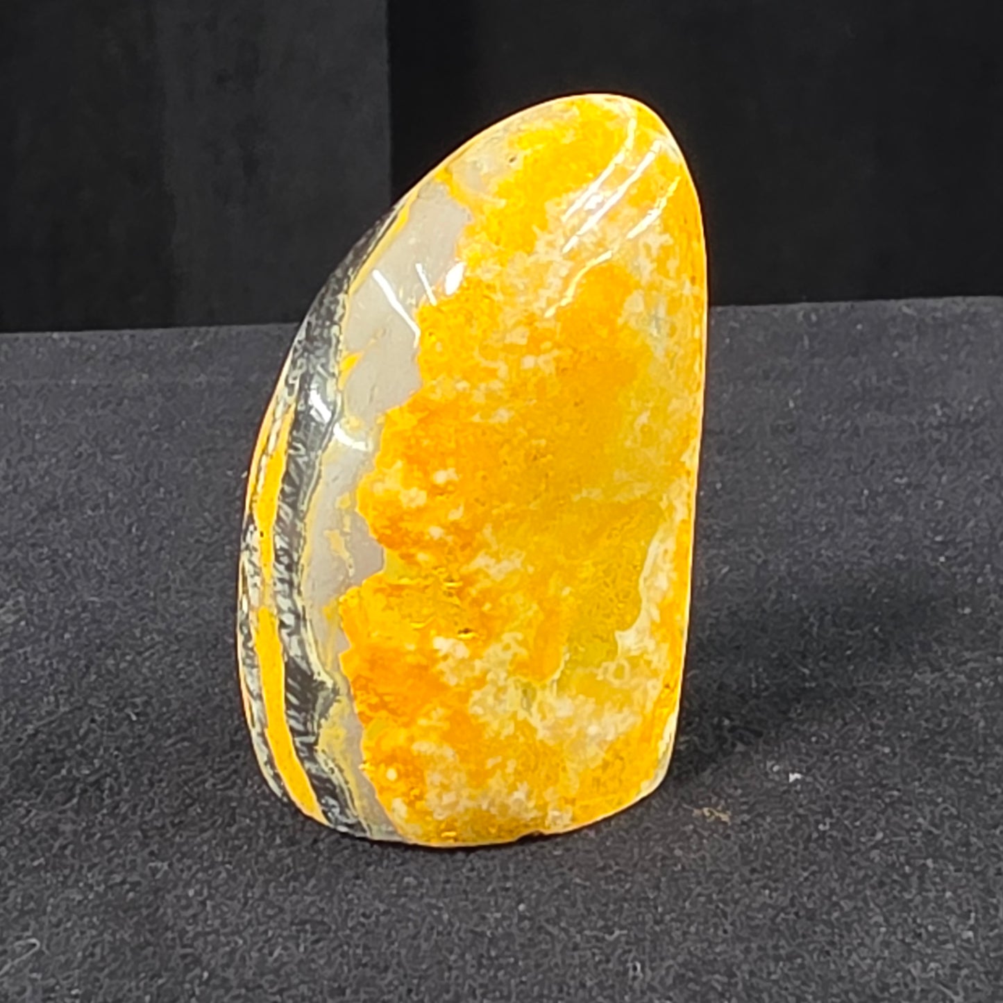 Bumblebee Jasper Freeform | 2523
