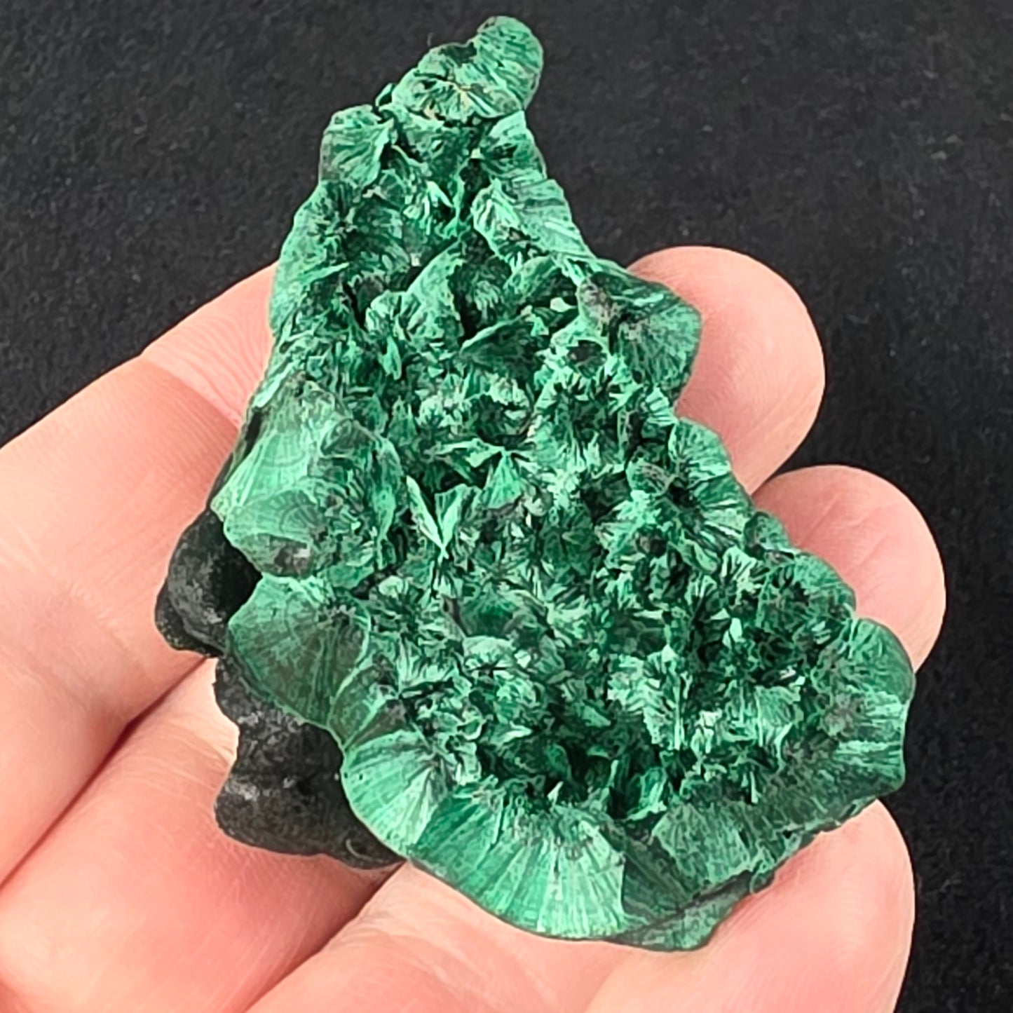 Velvet Malachite Specimen | 1065