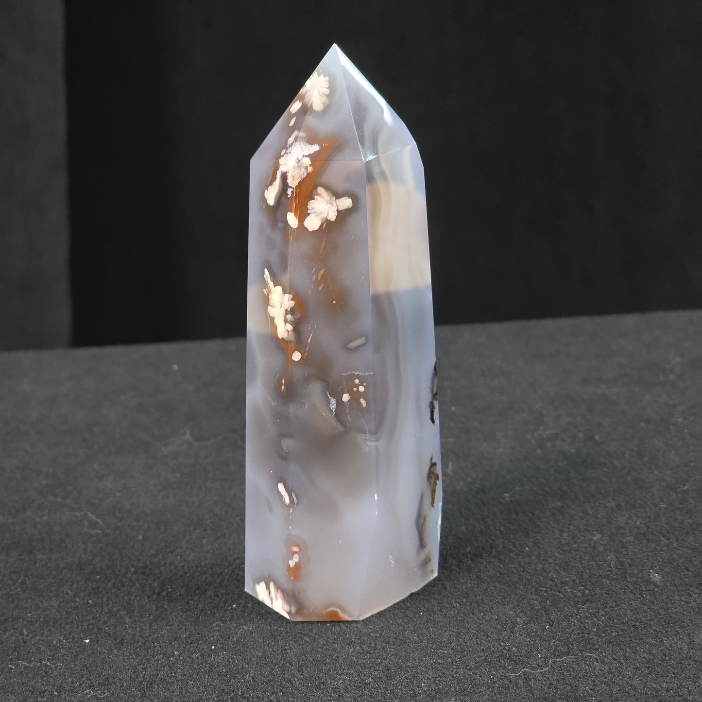 Black Flower Agate Generator | 2165