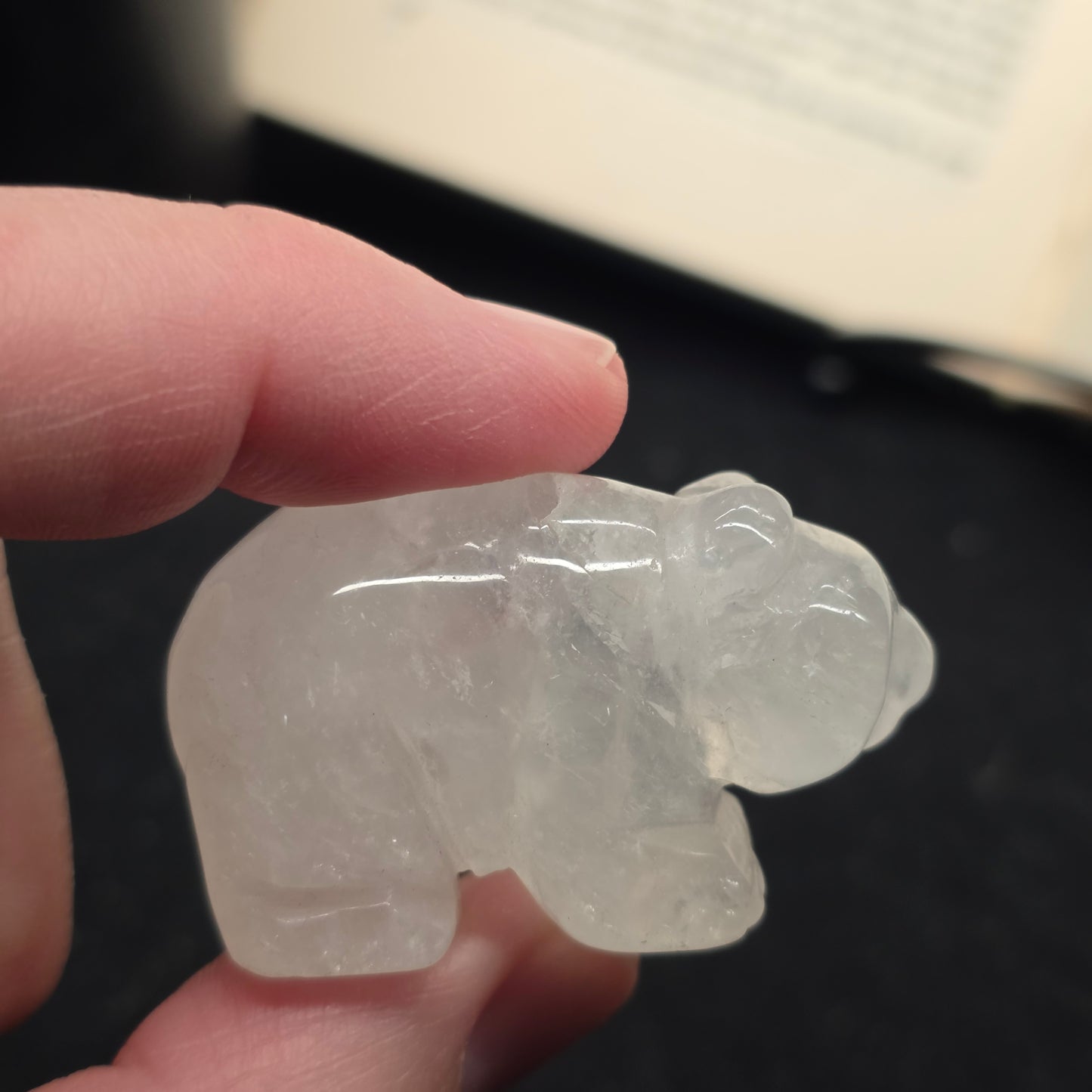 Clear Quartz Bear | 3166