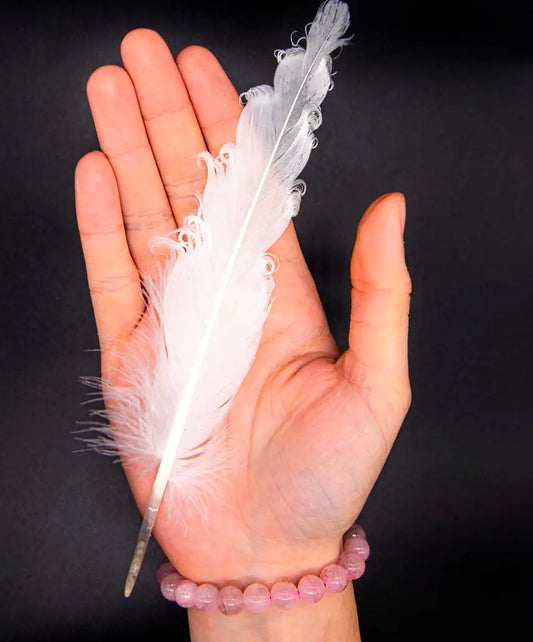 Goose Feather | 3039