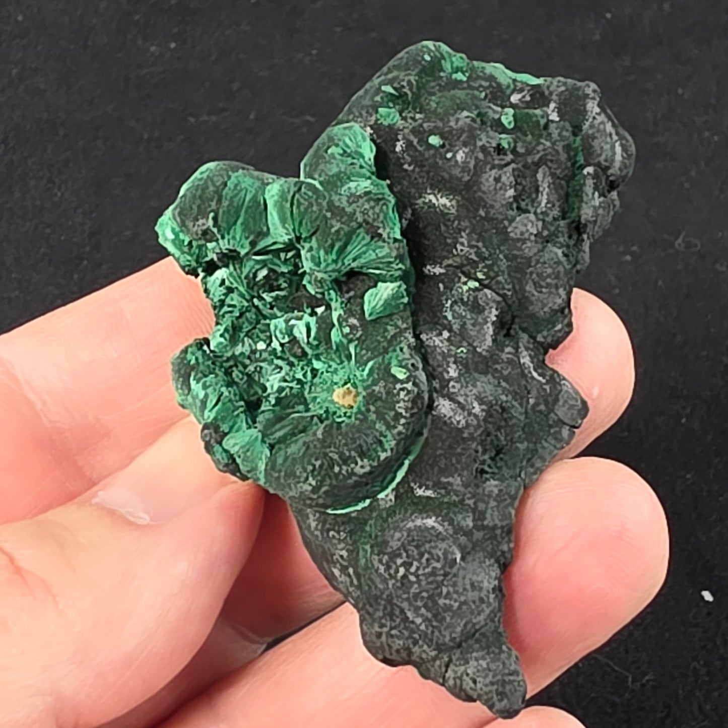 Velvet Malachite Specimen | 1065