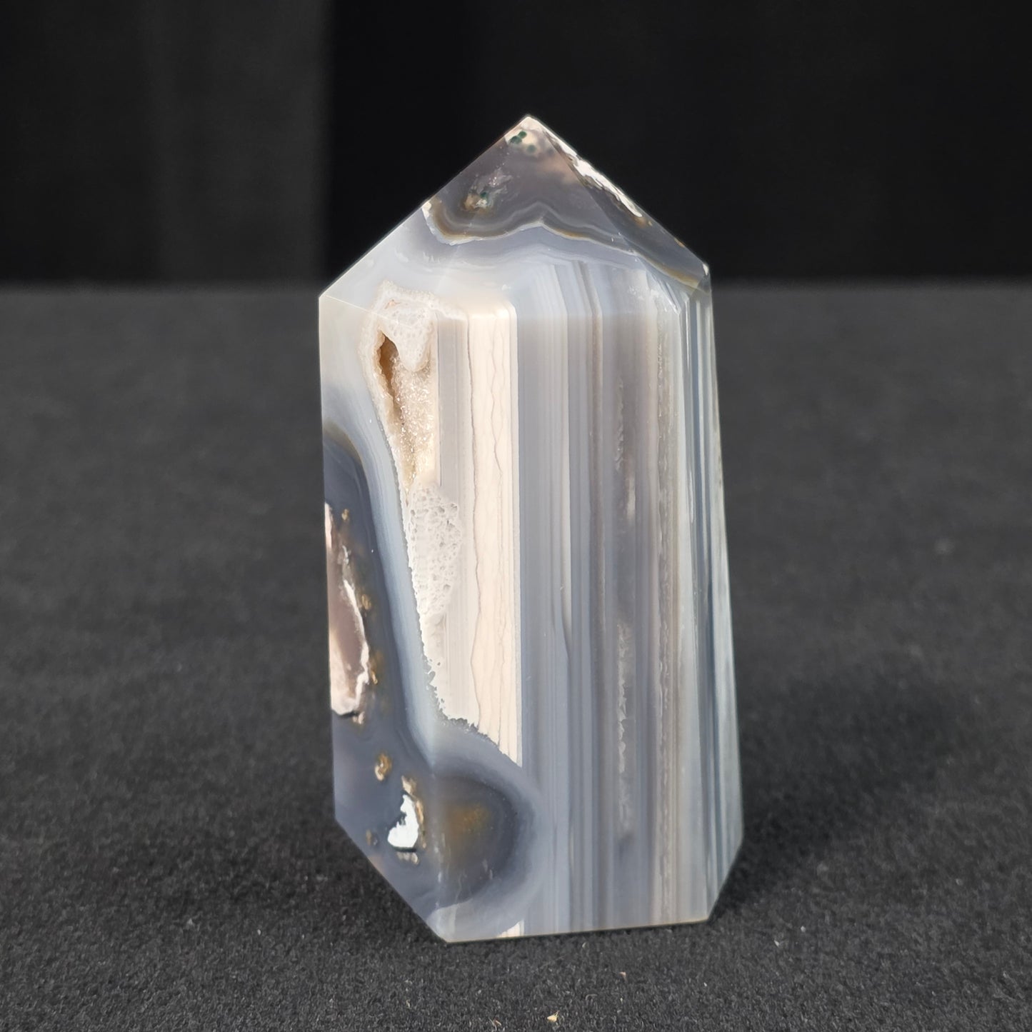 Black Flower Agate Generator | 2181