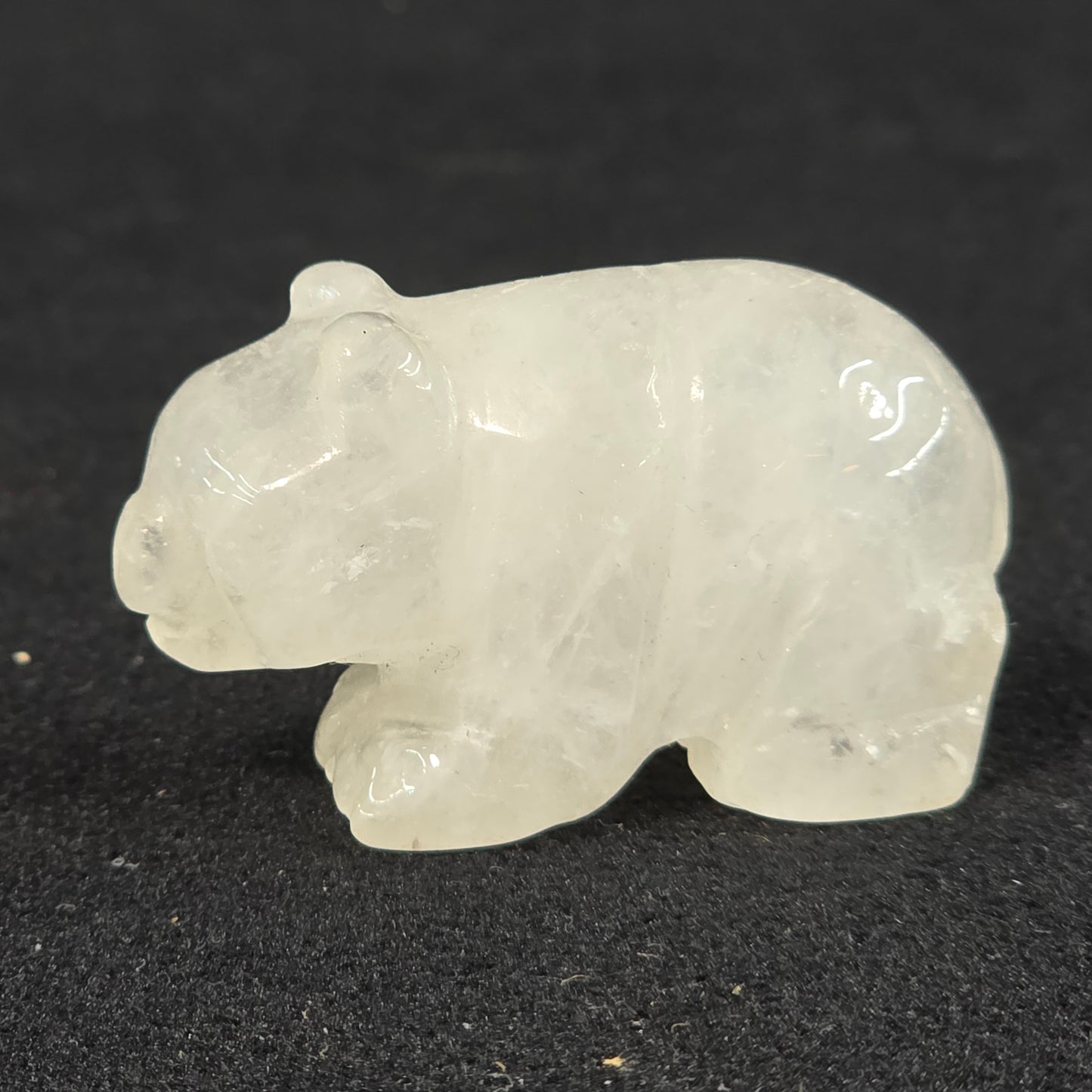 Clear Quartz Bear | 3166