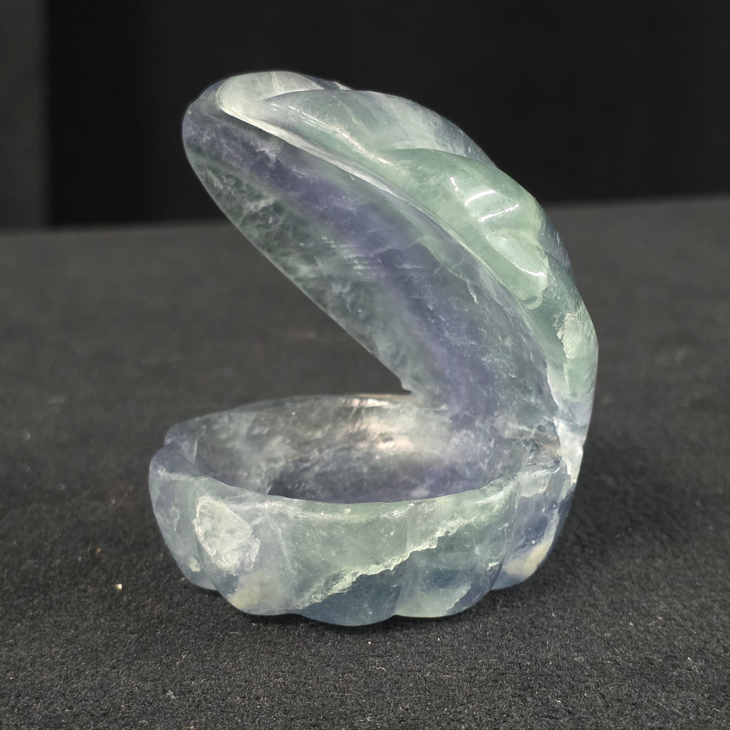 Rainbow Fluorite Clam Carving | 2261