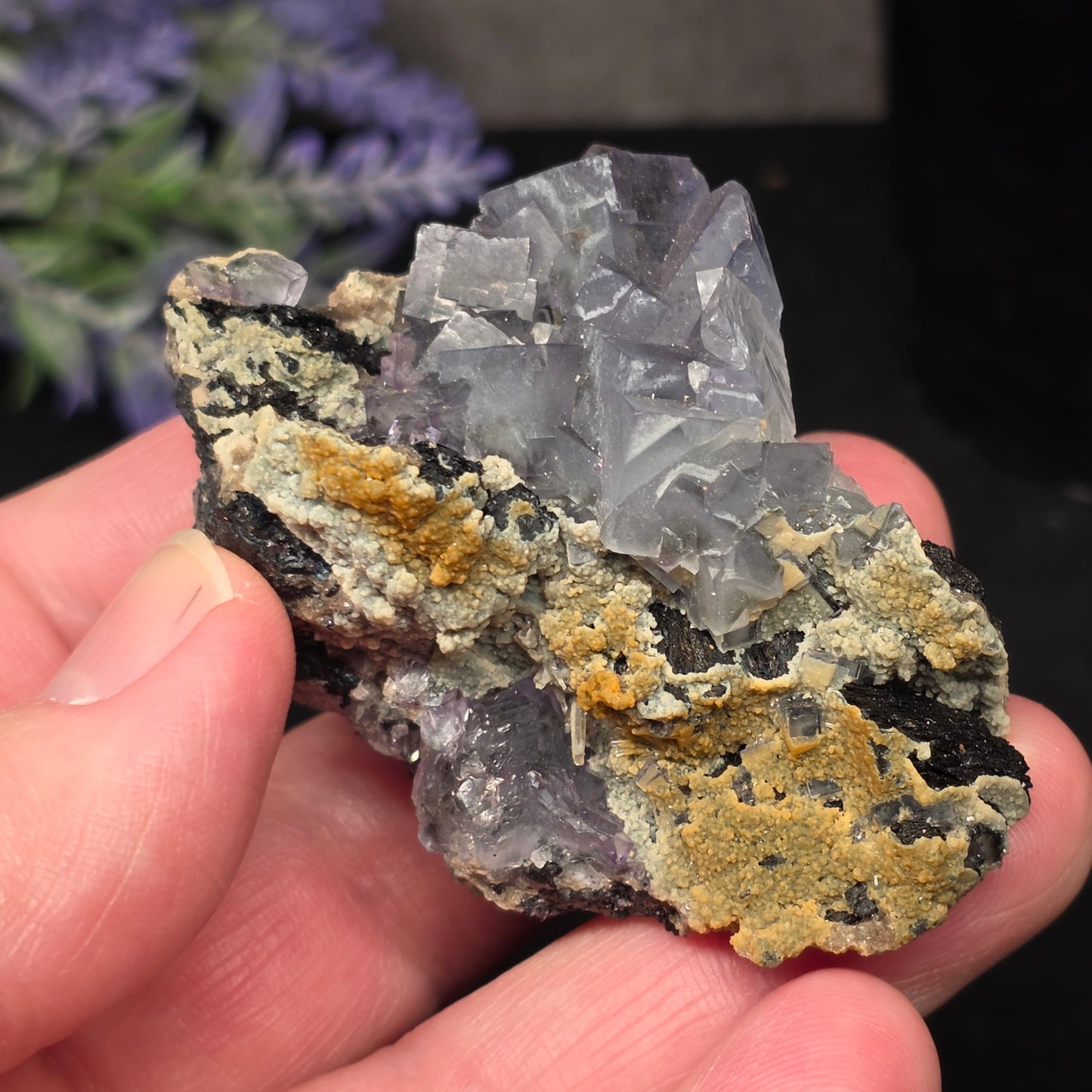 Purple Fluorite Specimen | 3060