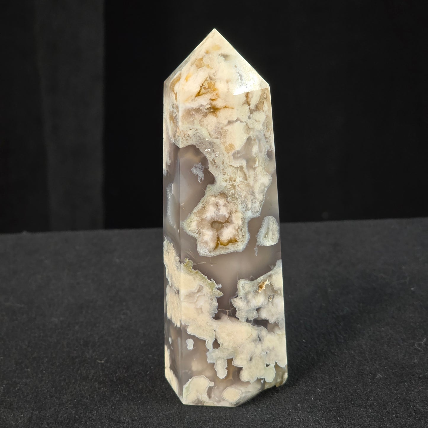 Black Flower Agate Generator | 2180