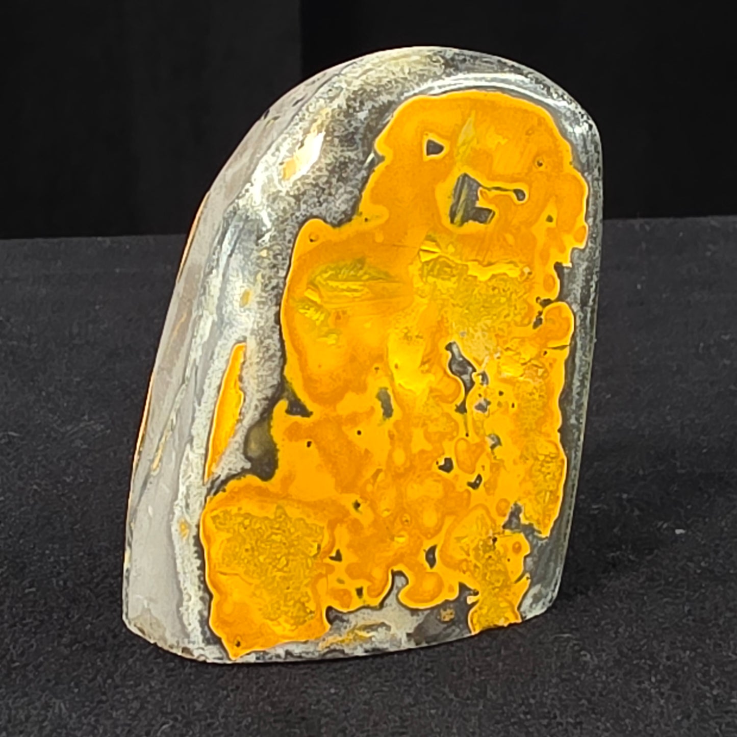 Bumblebee Jasper Freeform | 2526