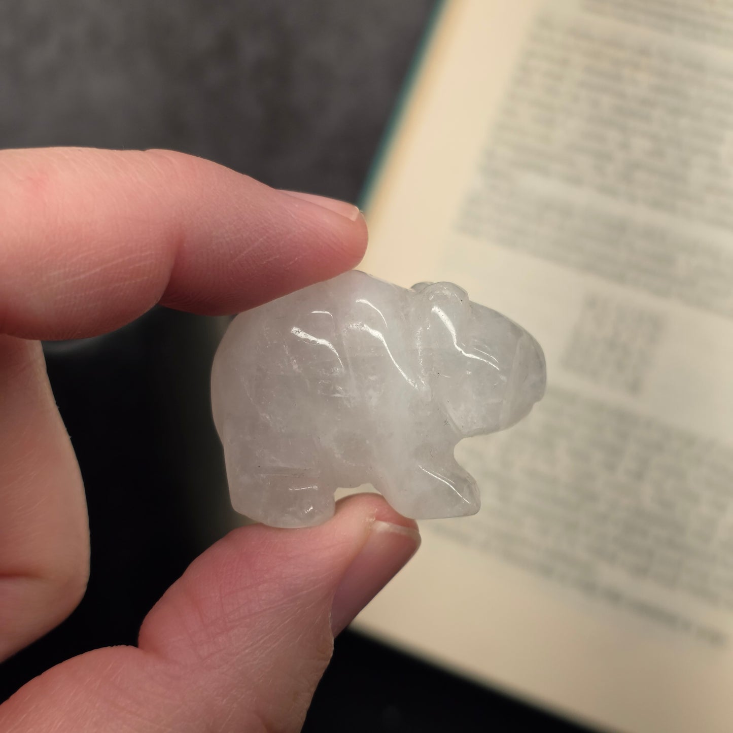 Clear Quartz Bear | 3168