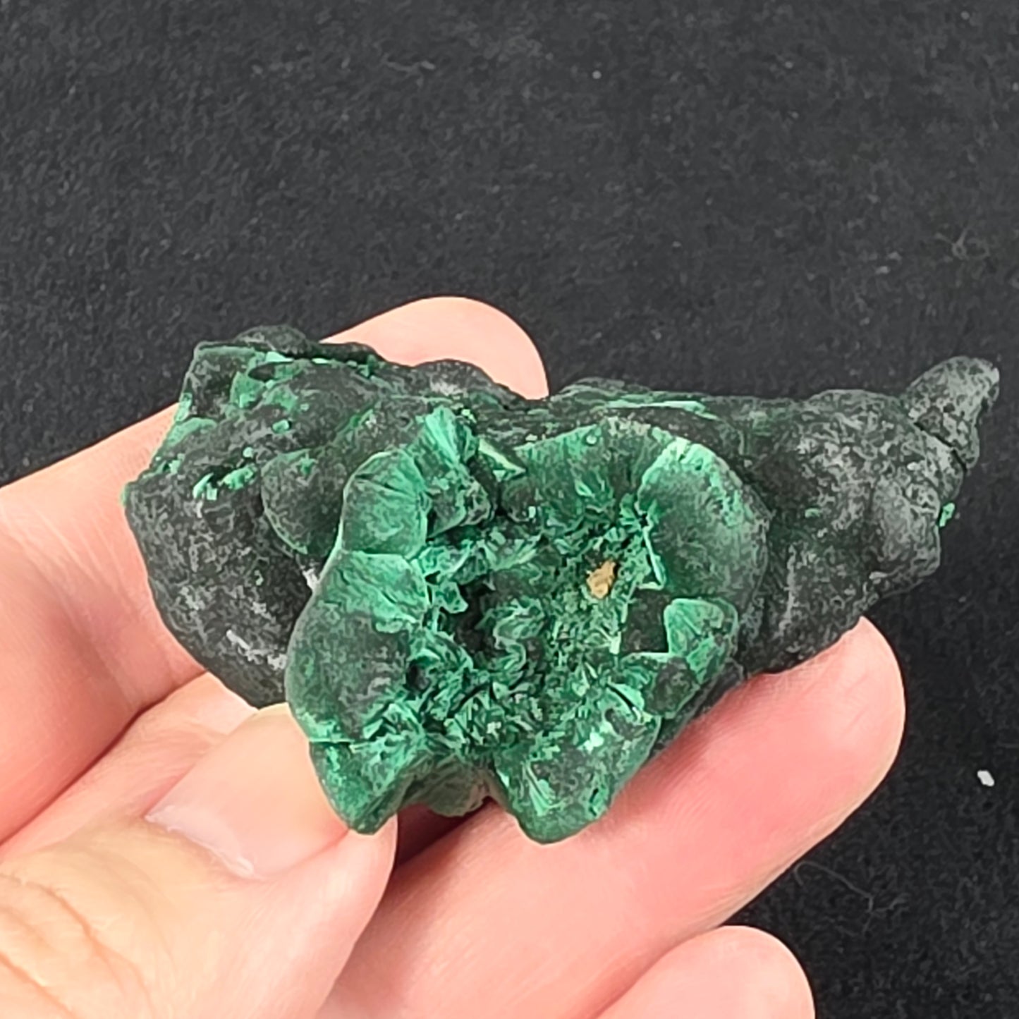 Velvet Malachite Specimen | 1065