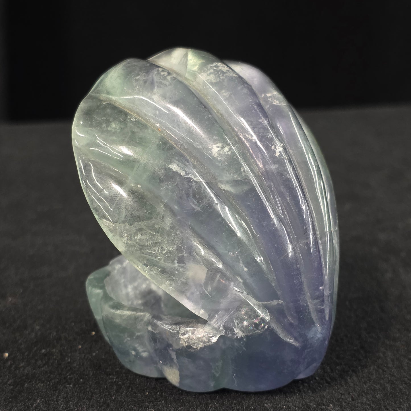 Rainbow Fluorite Clam Carving | 2261