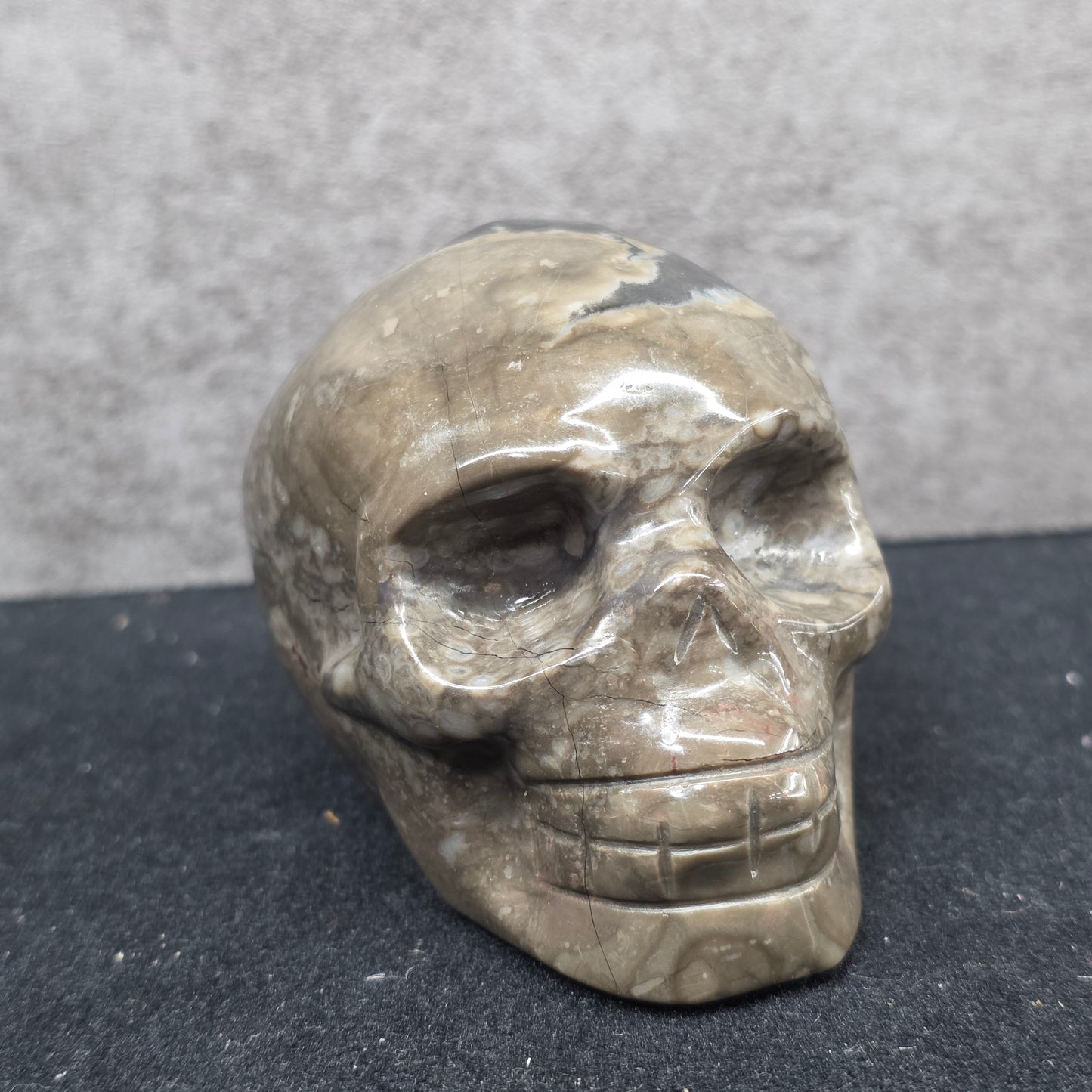 Volcano Agate Skull | 3313