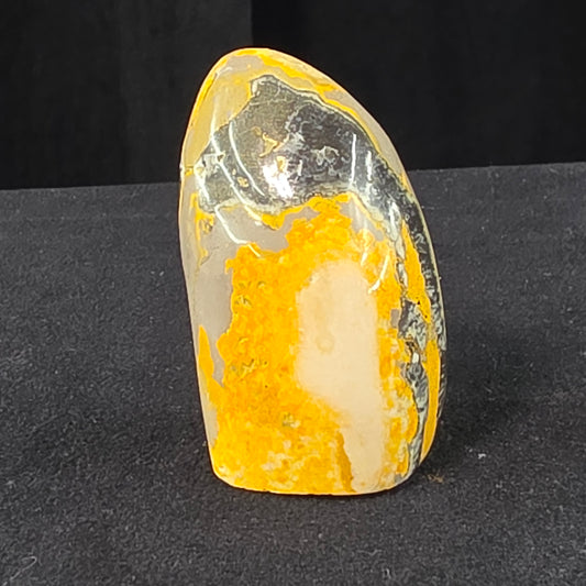 Bumblebee Jasper Freeform | 2523