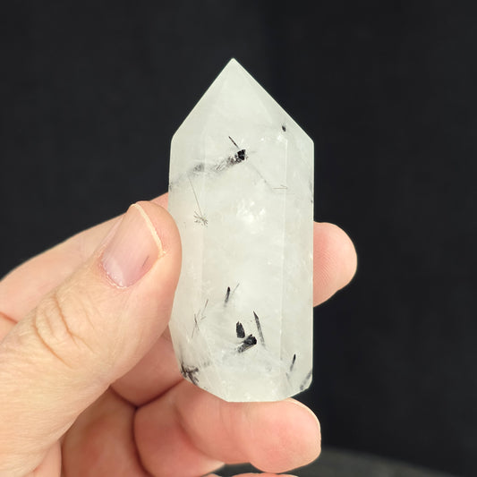 Black Tourmaline, Clear Quartz Generator | 2691