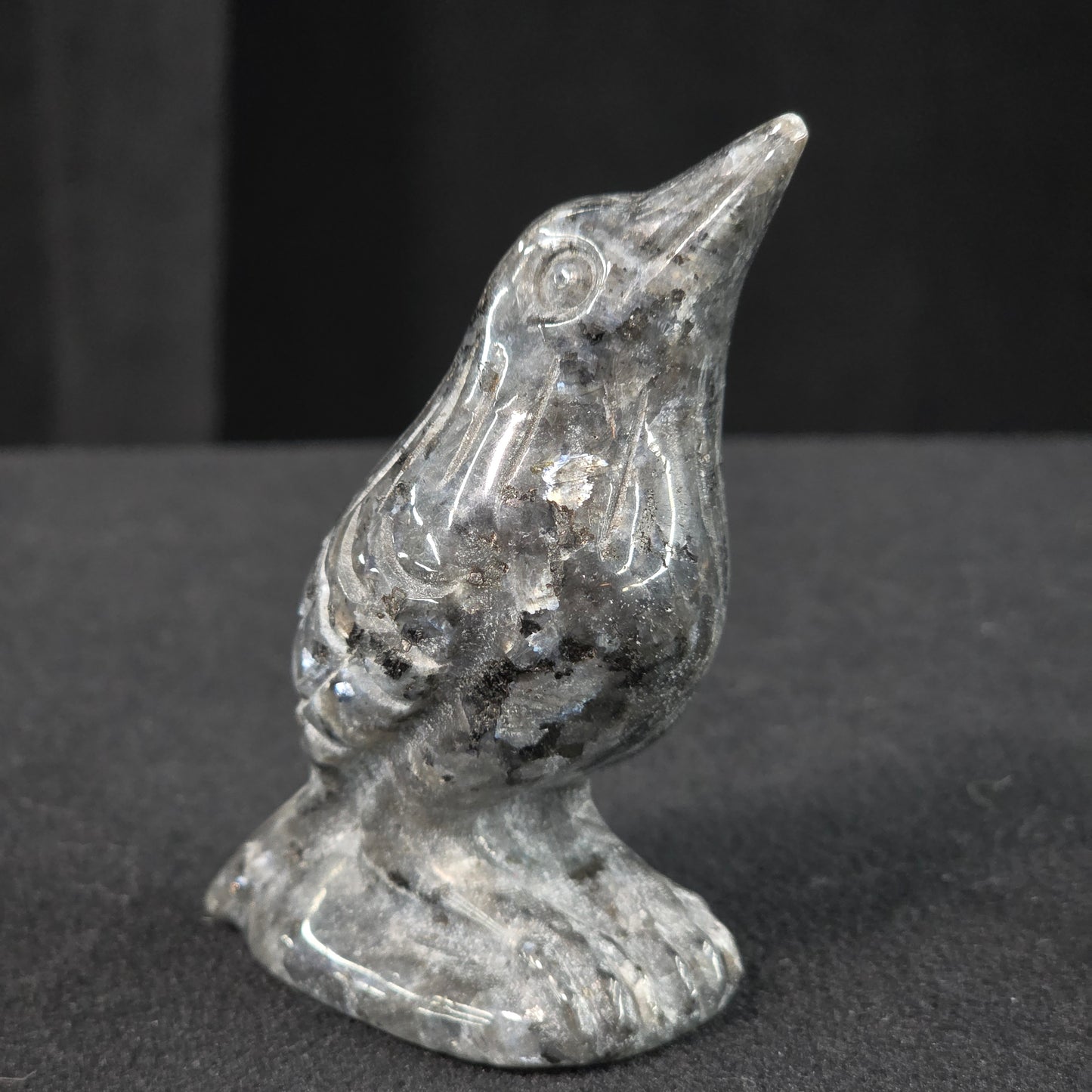 Larvikite Raven Carving | 1091