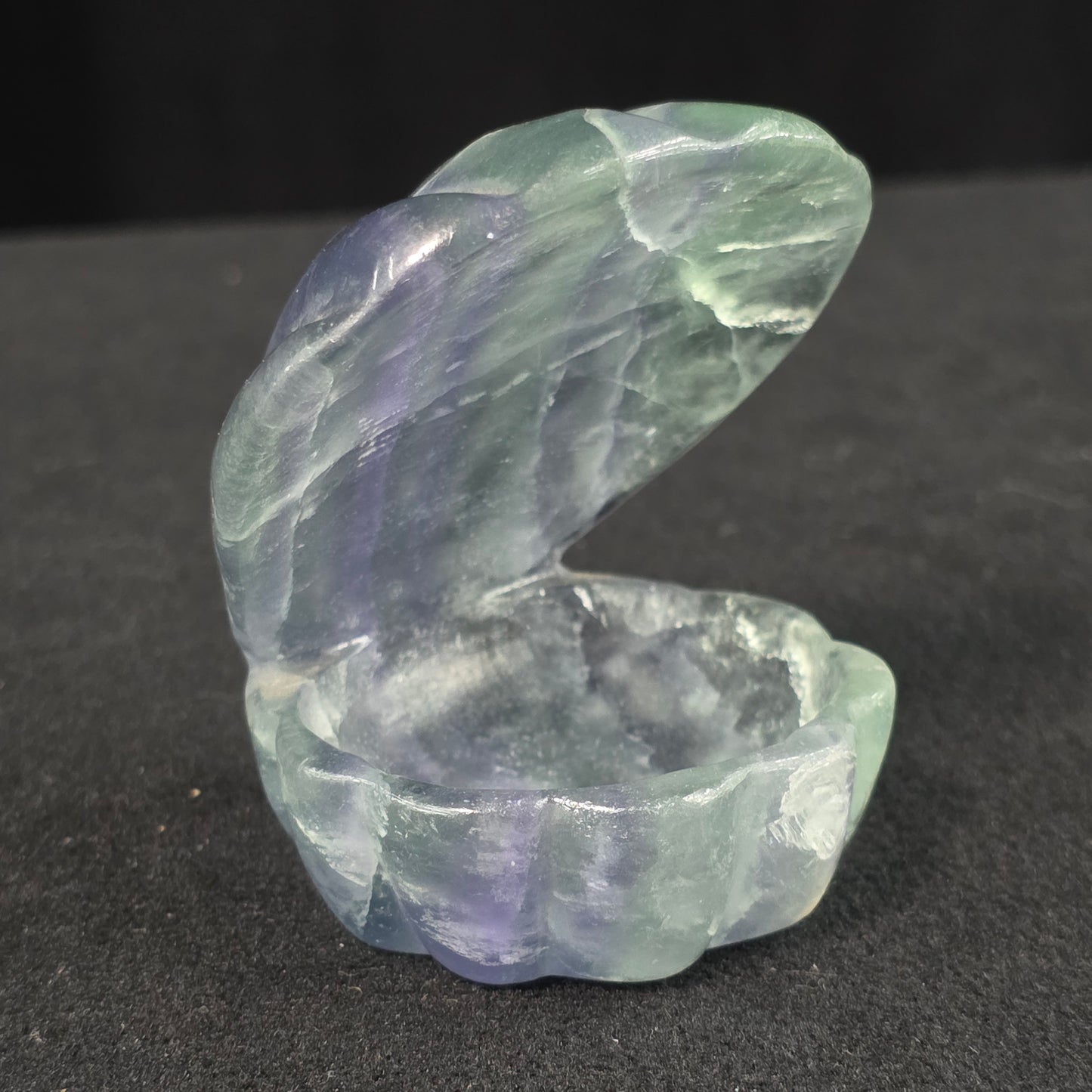 Rainbow Fluorite Clam Carving | 2261