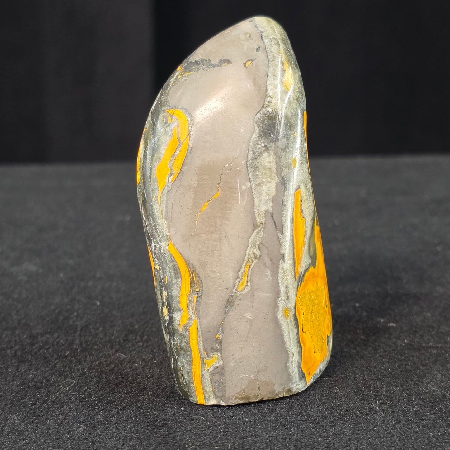 Bumblebee Jasper Freeform | 2526