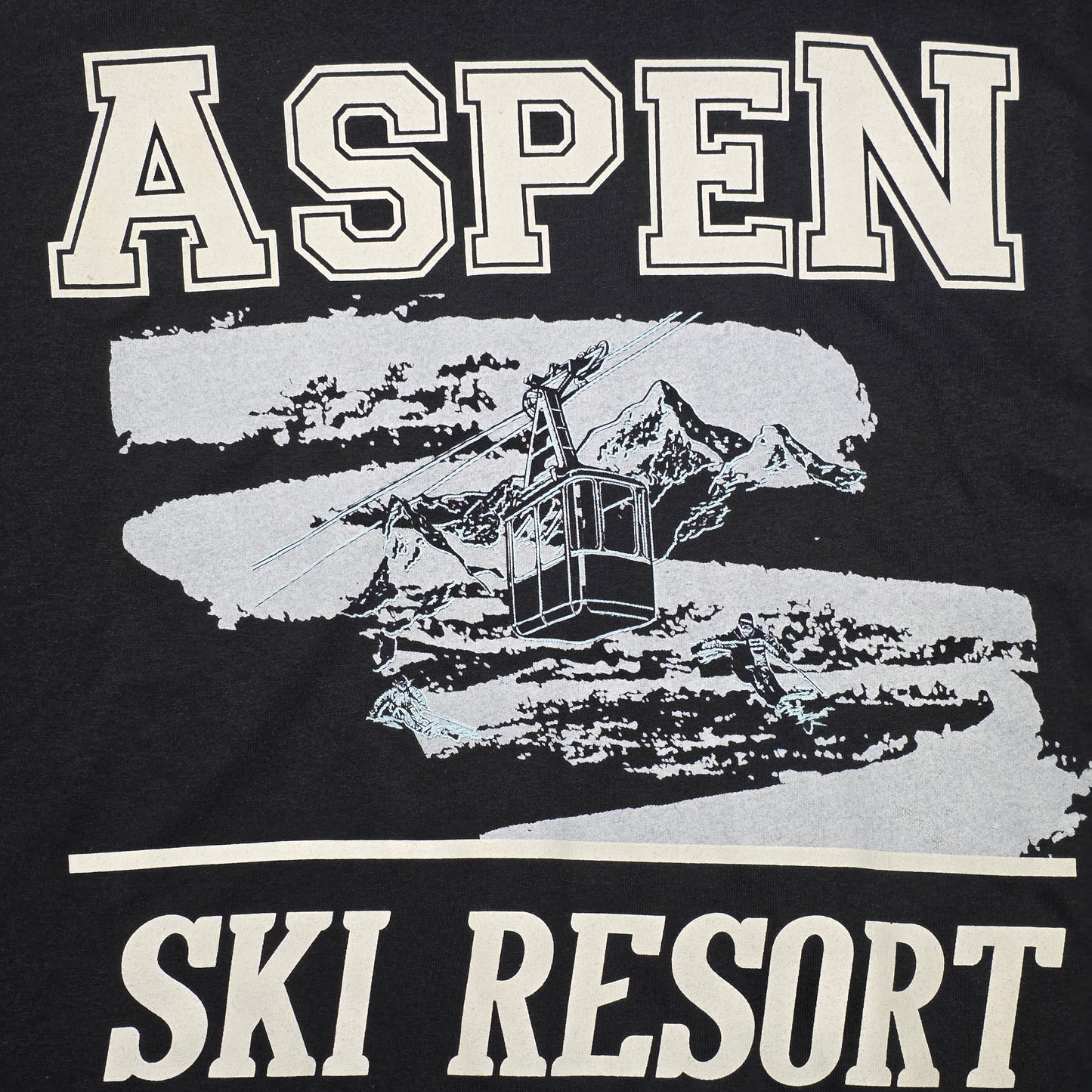 Aspen T-shirt M (NWOT) | 2728