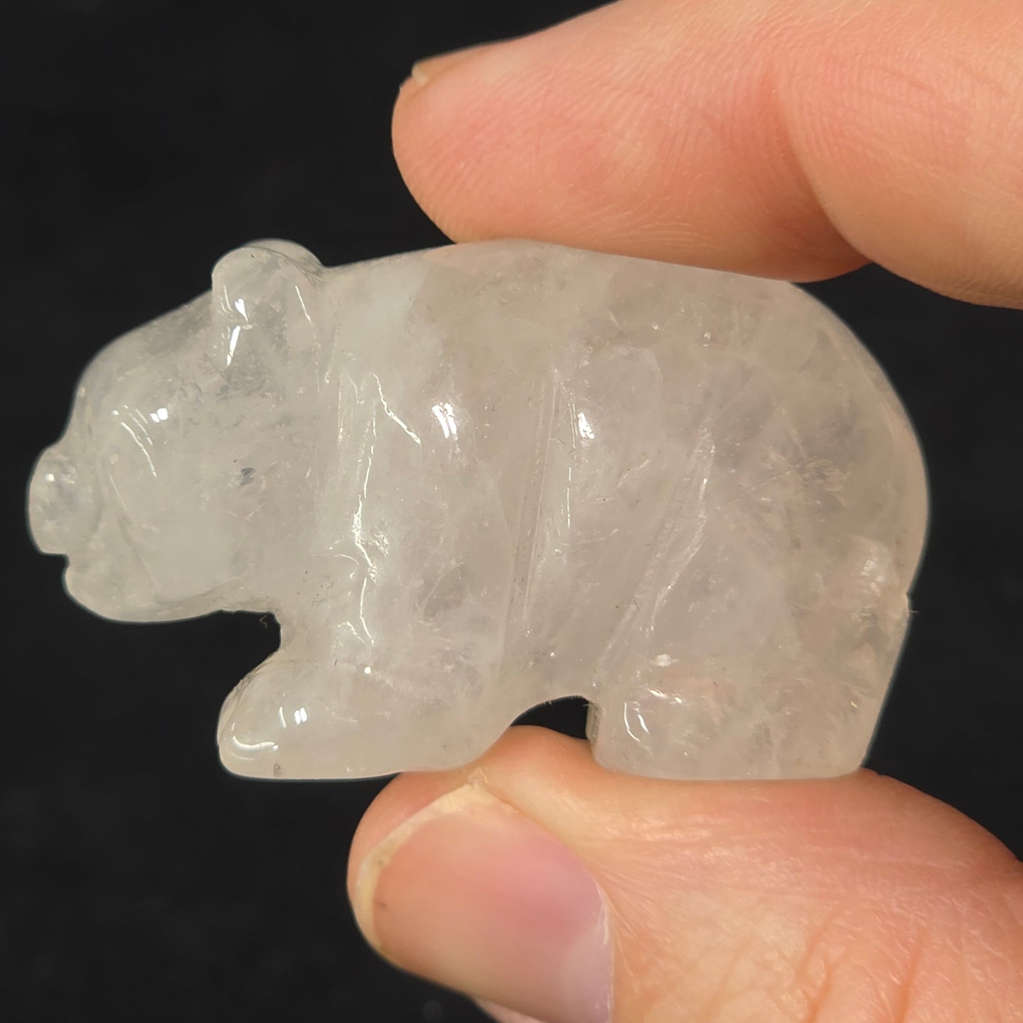 Clear Quartz Bear | 3166