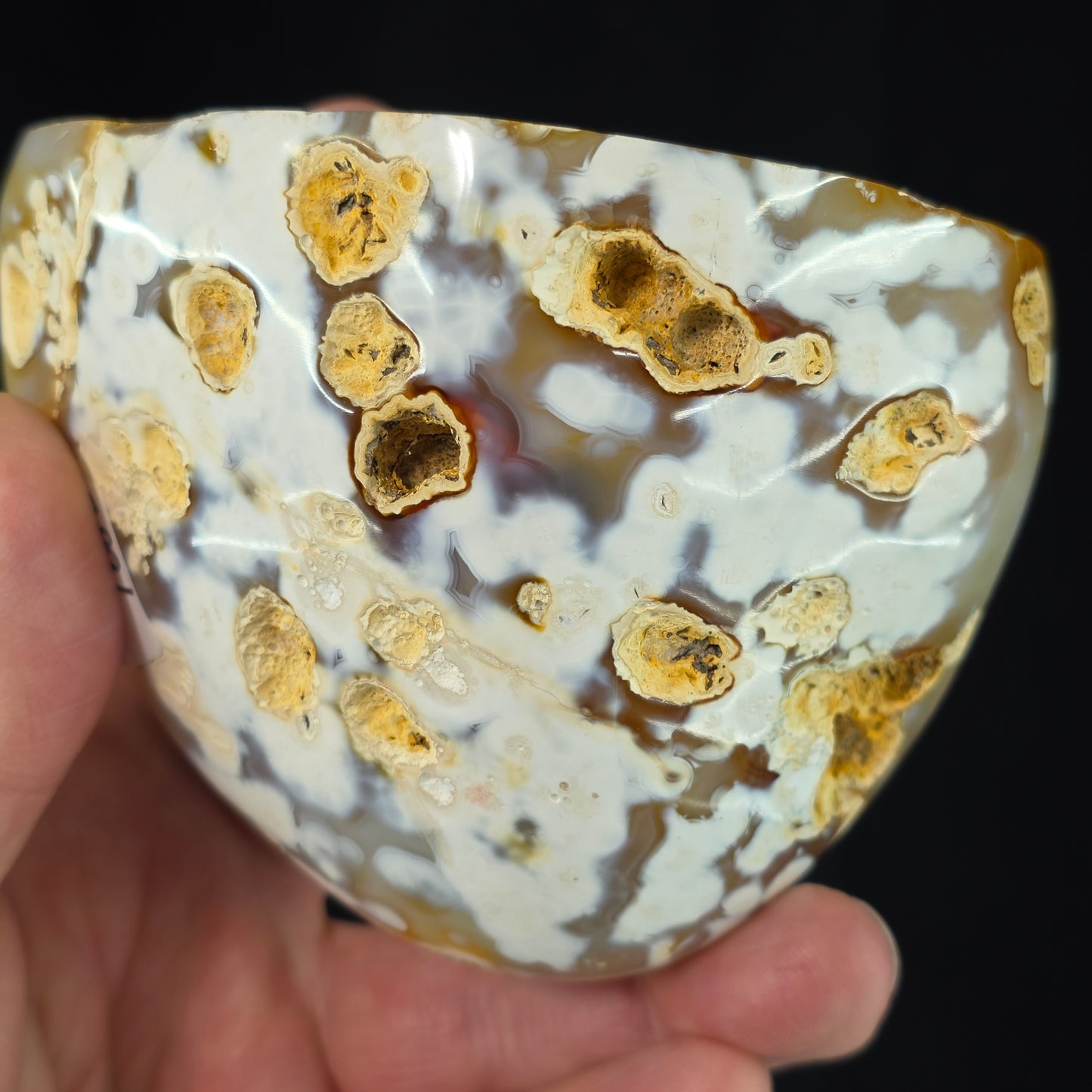 Carnelian Stunning Geode | 2891