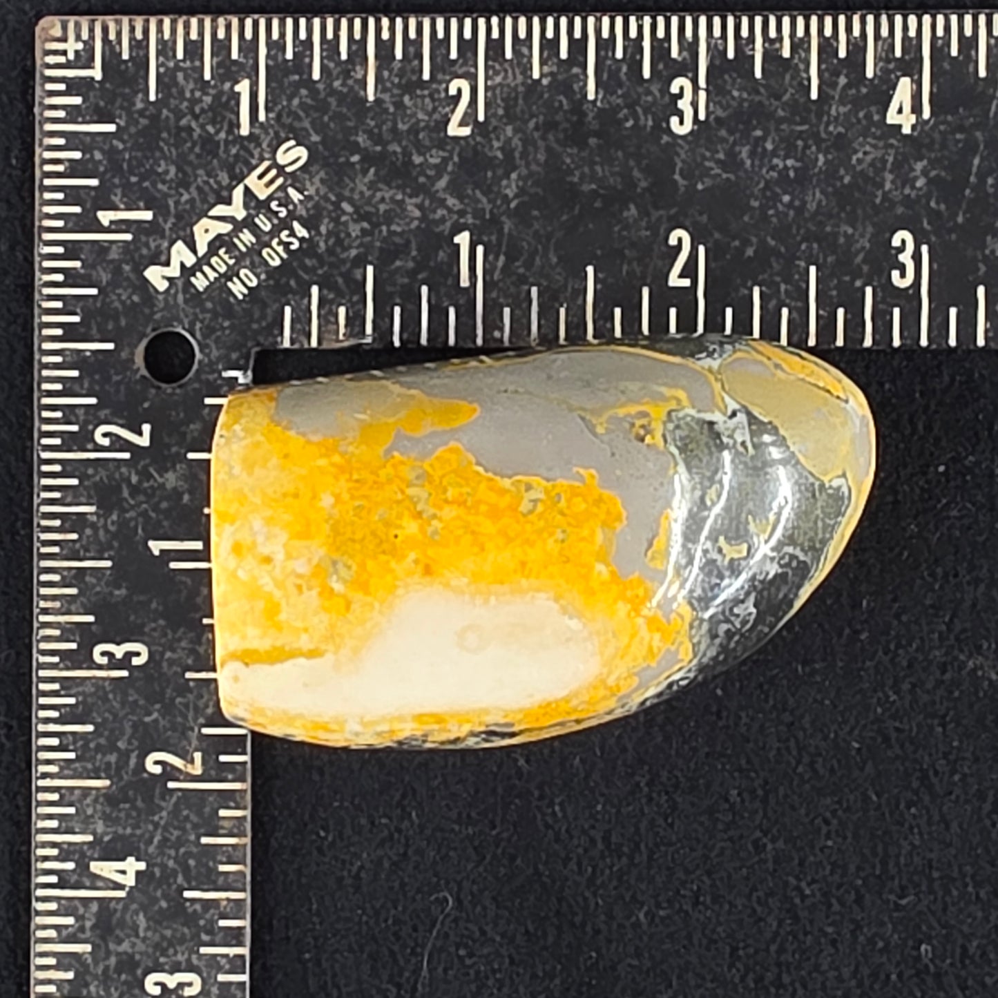 Bumblebee Jasper Freeform | 2523