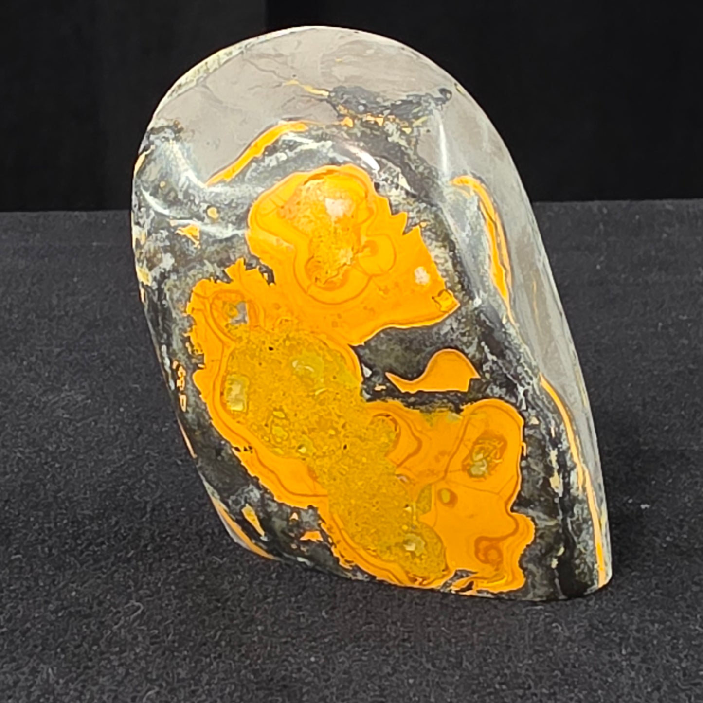 Bumblebee Jasper Freeform | 2526